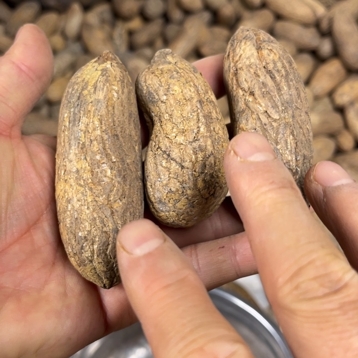 千眼菩提吊坠千眼菩提，42 号。