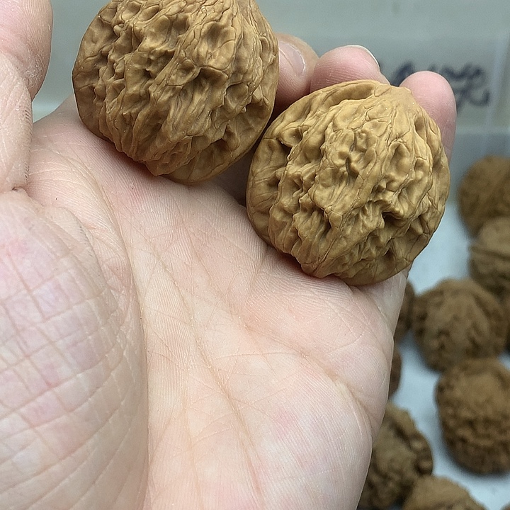 吊坠文玩核桃36 麦虎有色差