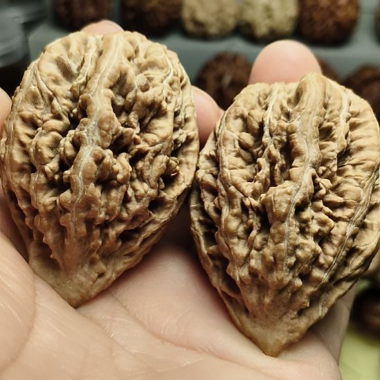 有***了文玩核桃吊坠大楸核桃1号