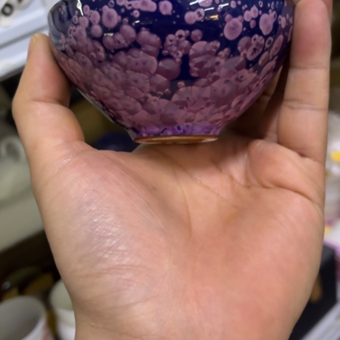 【闪购商品】我65555555555555555