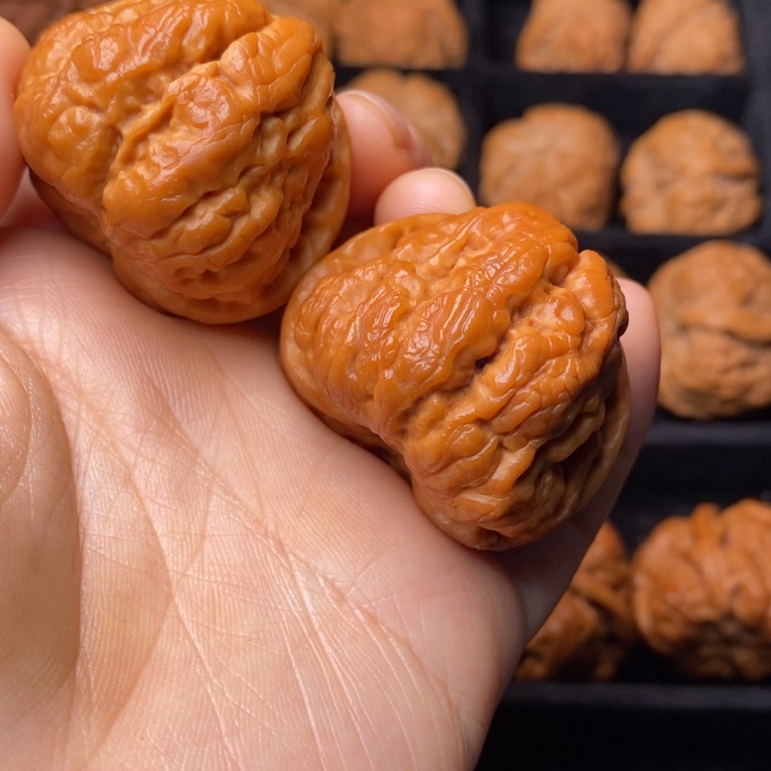 文玩核桃把件秦岭野生核桃