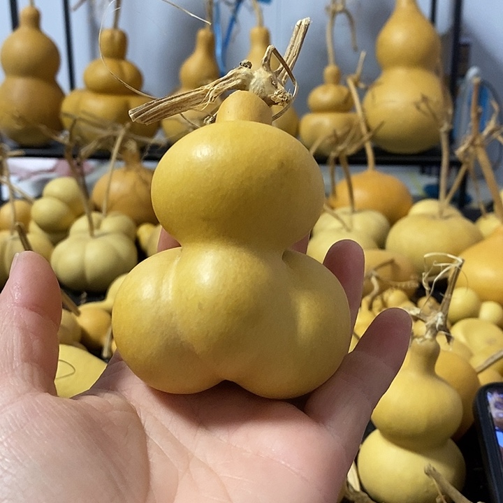 代****e葫芦的颜色是蓝色的还是