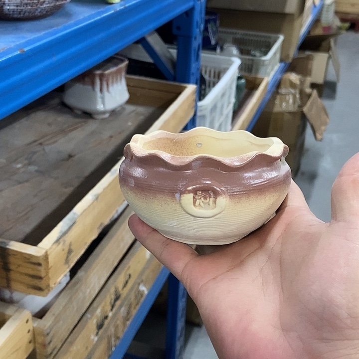 花盆单场满9.9发货9.5×5.5