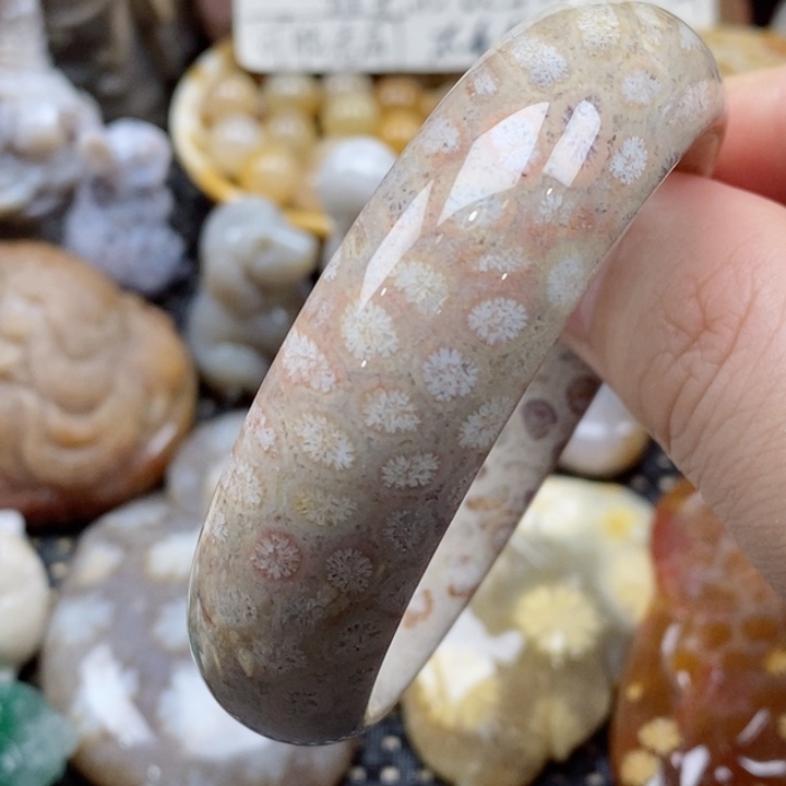 硅化珊瑚（珊瑚玉）颈饰未镶嵌52