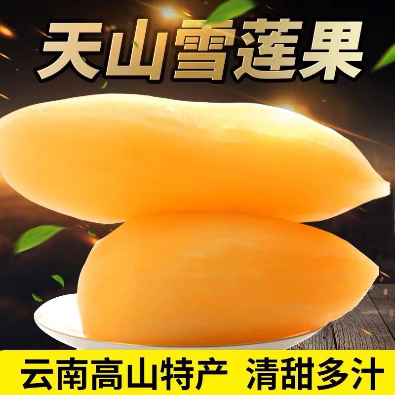 云南雪莲果新鲜应季黄心水果脆甜多汁现挖产地包邮TZ1
