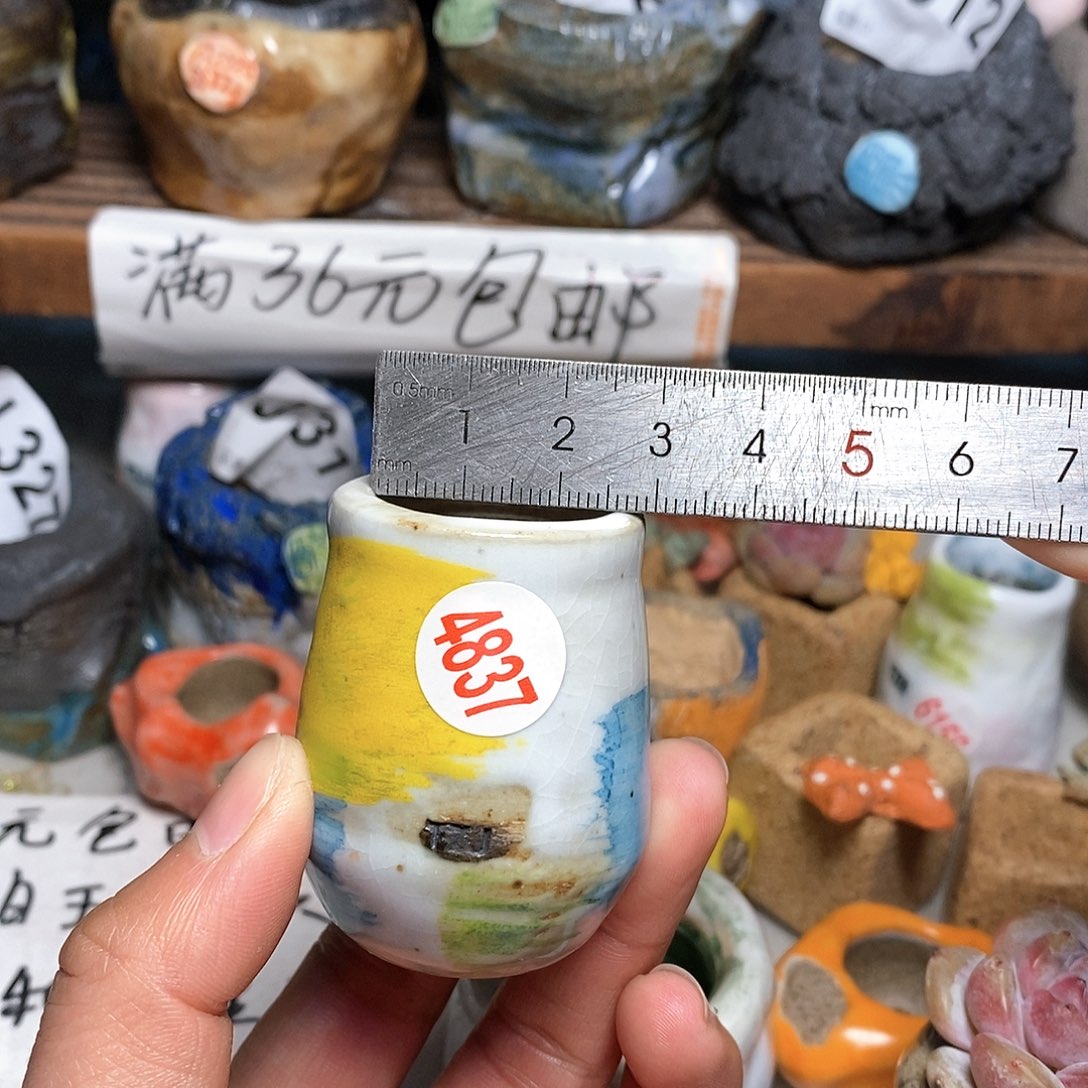 红陶拍5送一个小