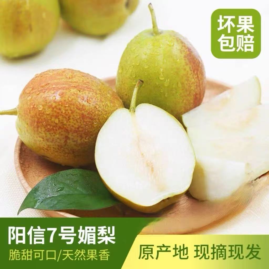 【产地直发】正宗7号媚梨新香梨香甜皮薄口感脆甜多汁坏果包赔G