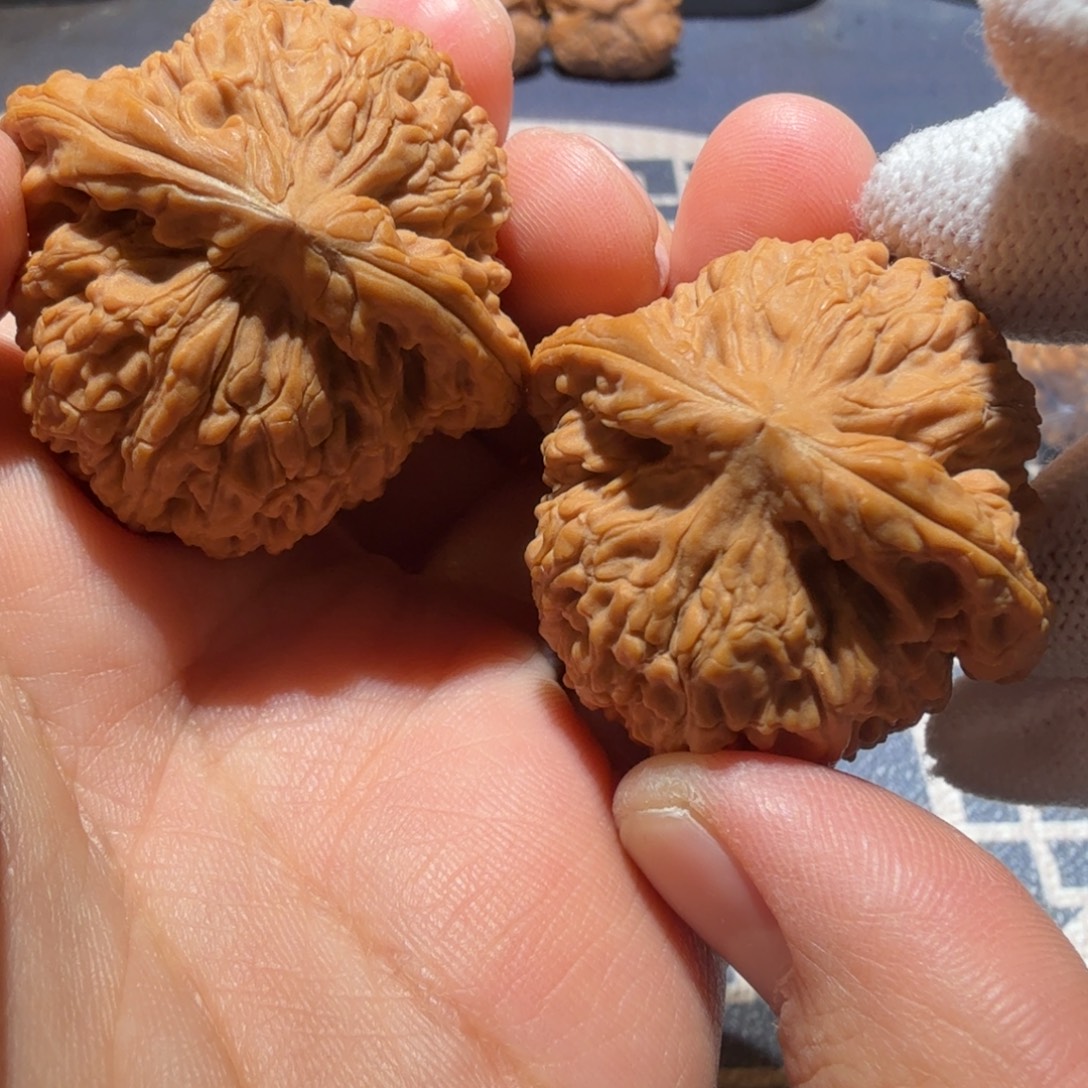 把件文玩核桃南疆