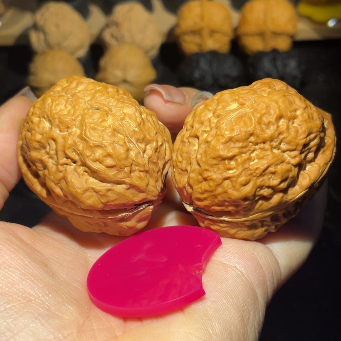 霸王龙43尺寸核桃