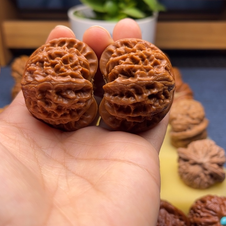 核桃42➕宫灯狮子头手工打底