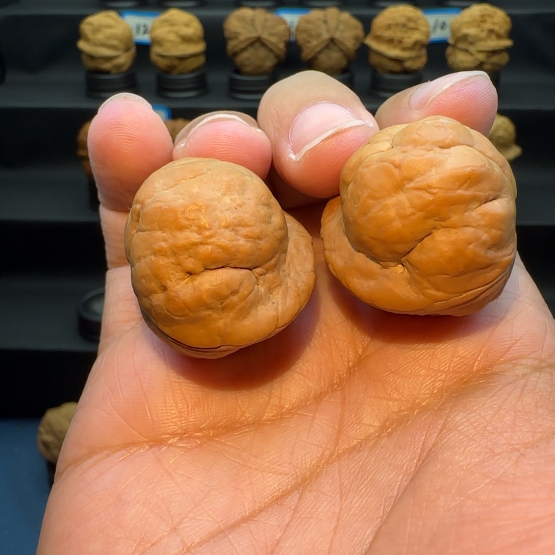 郑***.桃核把件金刚鹦蟾