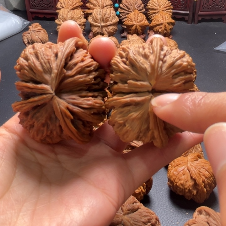 白狮子龙首球连49尺寸核桃哈哈哈哈哈哈