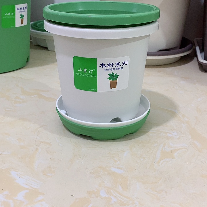 小果汀15口混色10个带托