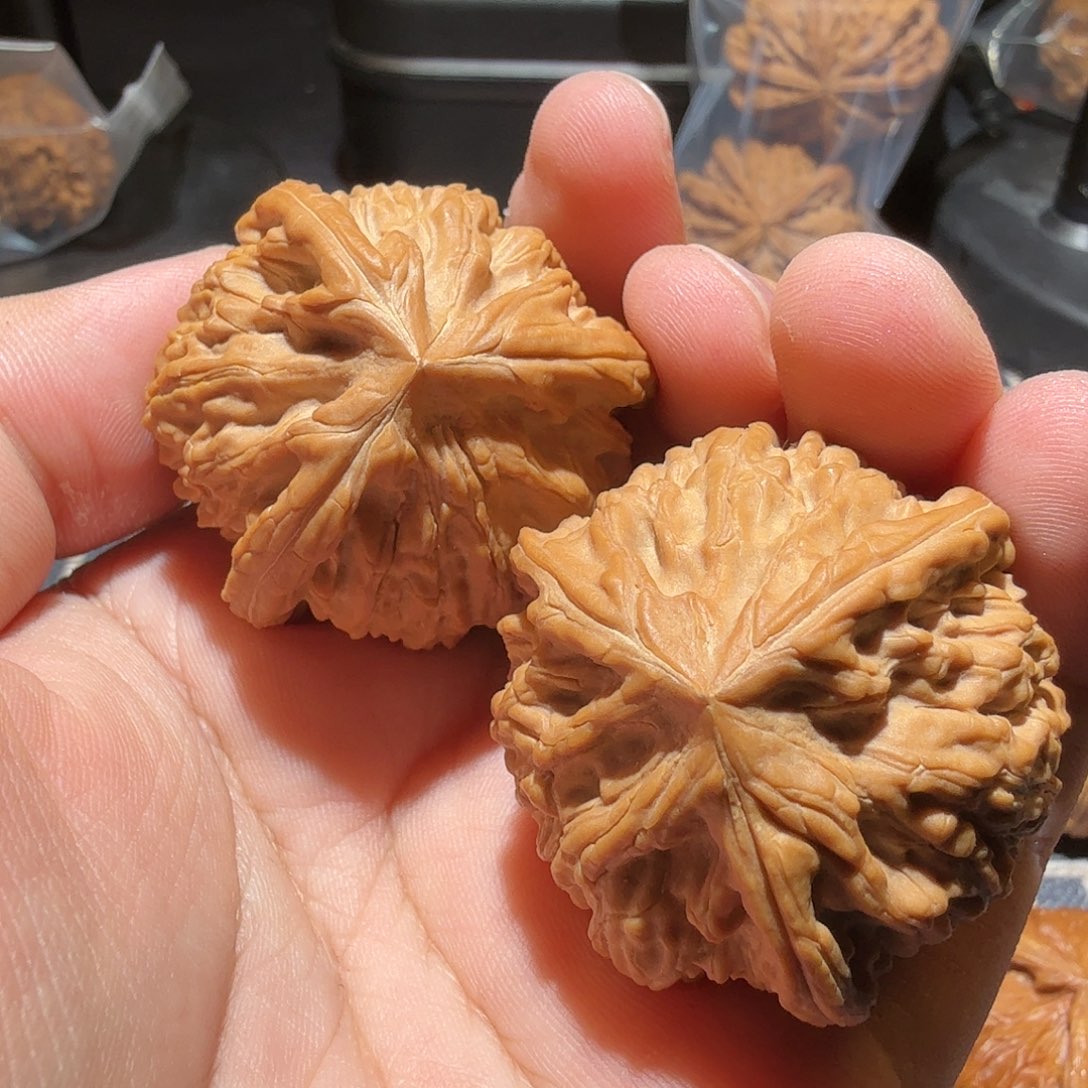 文玩核桃把件꧁****御龙正奔