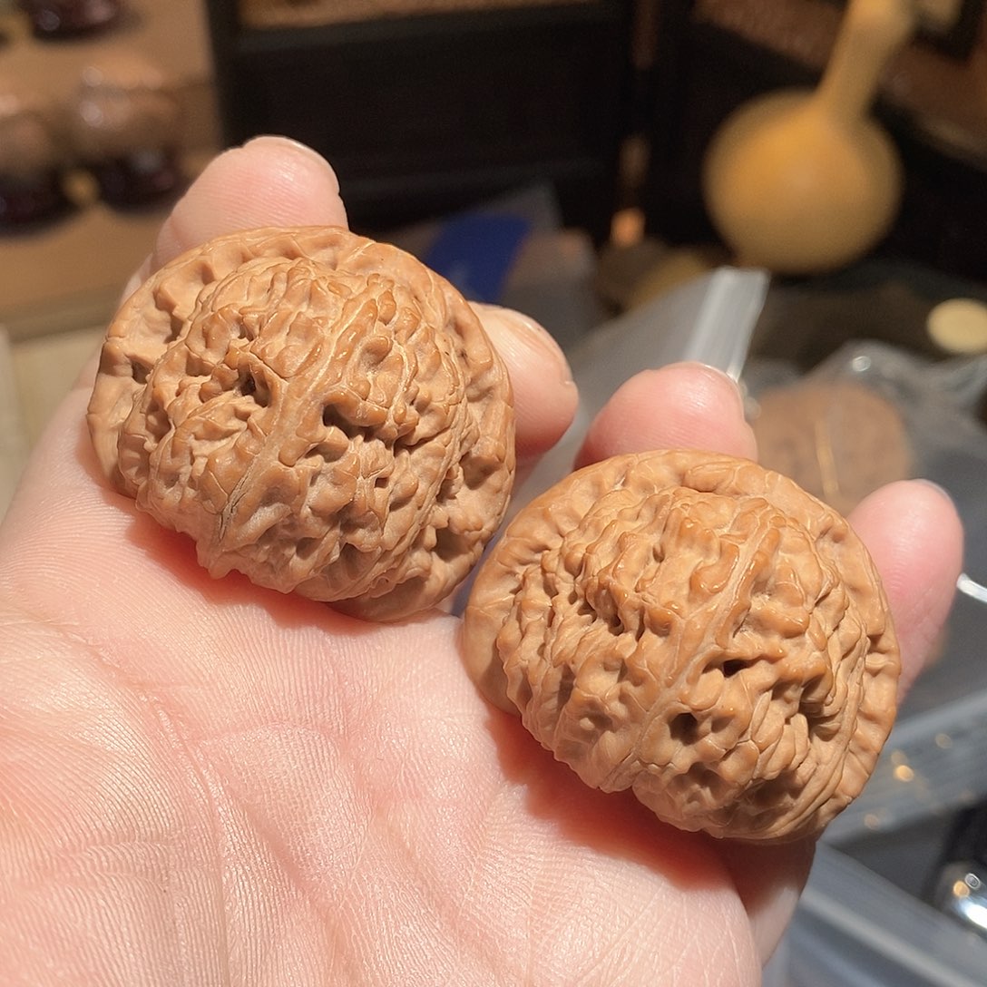 文玩核桃把件1**142白狮子全品