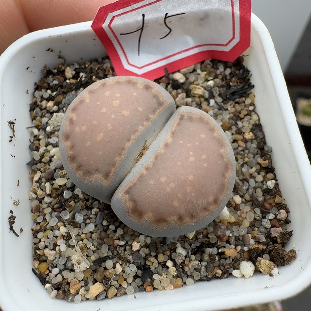 15哈哈哈哈哈哈哈哈