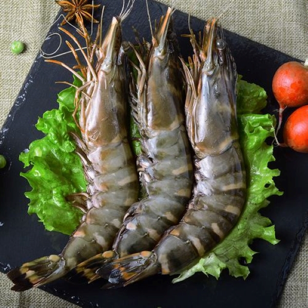 黑虎虾一斤20-25只 鲜活虾速冻 海鲜水产品 500g/1盒 3斤