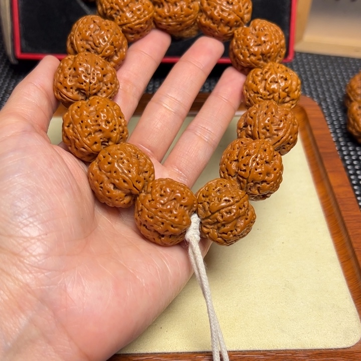 金刚菩提手串24安娜蜂王