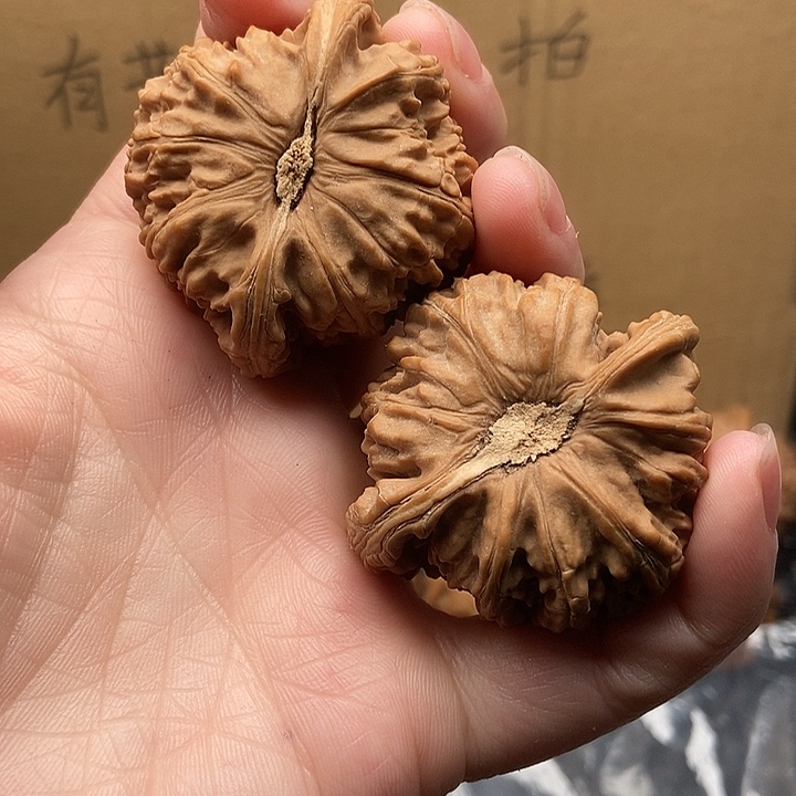 李***大大大大大大狮子歪