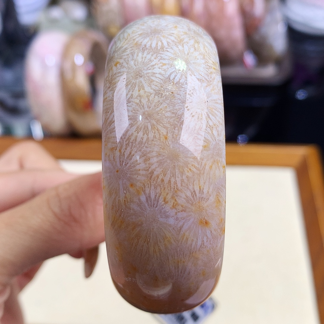 硅化珊瑚（珊瑚玉）未镶嵌吊坠(赠链)31号51圈口