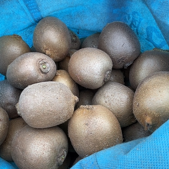 中国大陆猕猴桃五斤，赶集买的