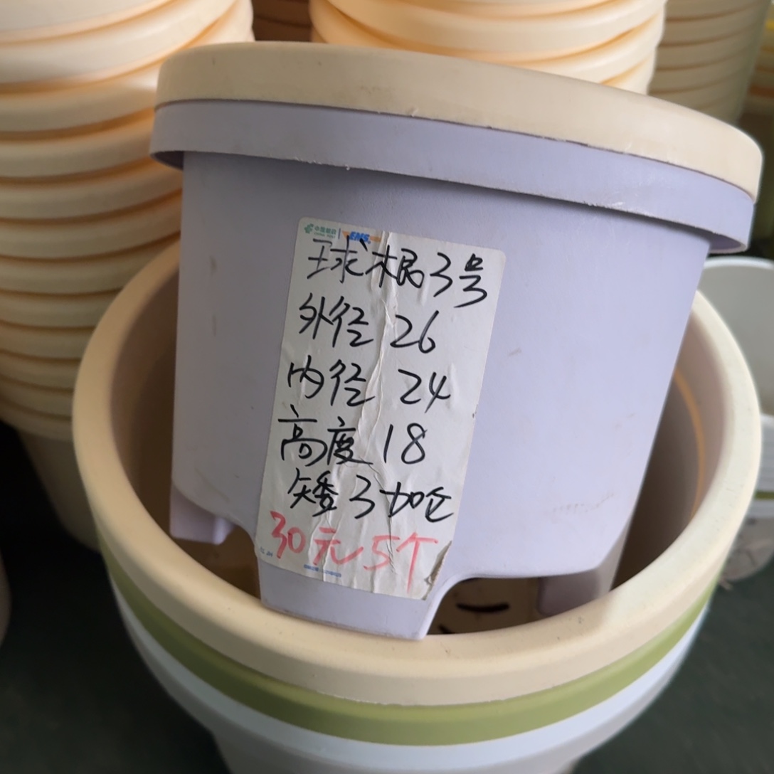 球根3#口径26无拖灰白6个