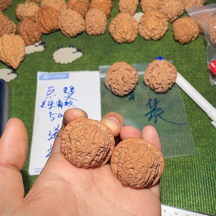 把件文玩核桃38精对血麒麟无黄无修