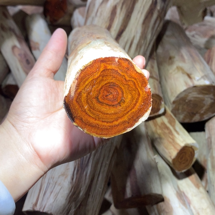 看***阳花梨木类海南黄花梨