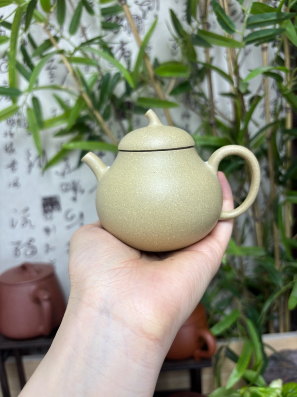 宜兴原矿本山绿泥小茄瓜紫砂壶（180CC左右）