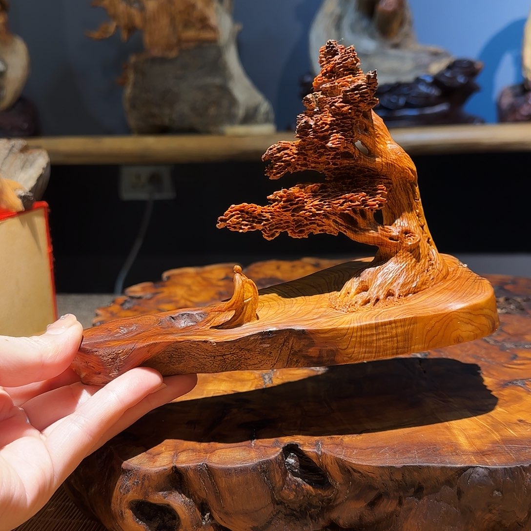 柏木（崖柏）太行集团