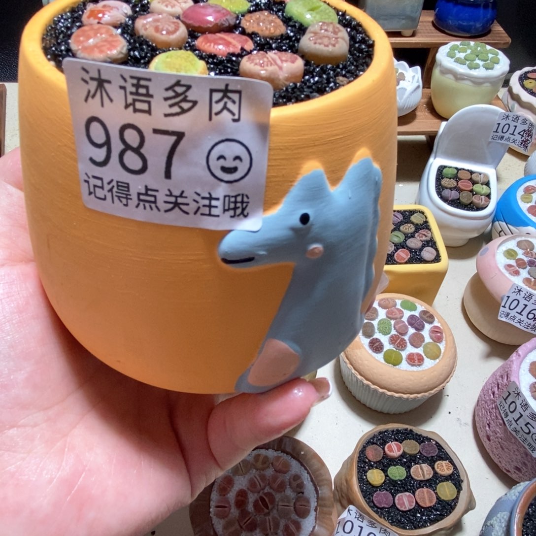 所见即所得 一物一拍987