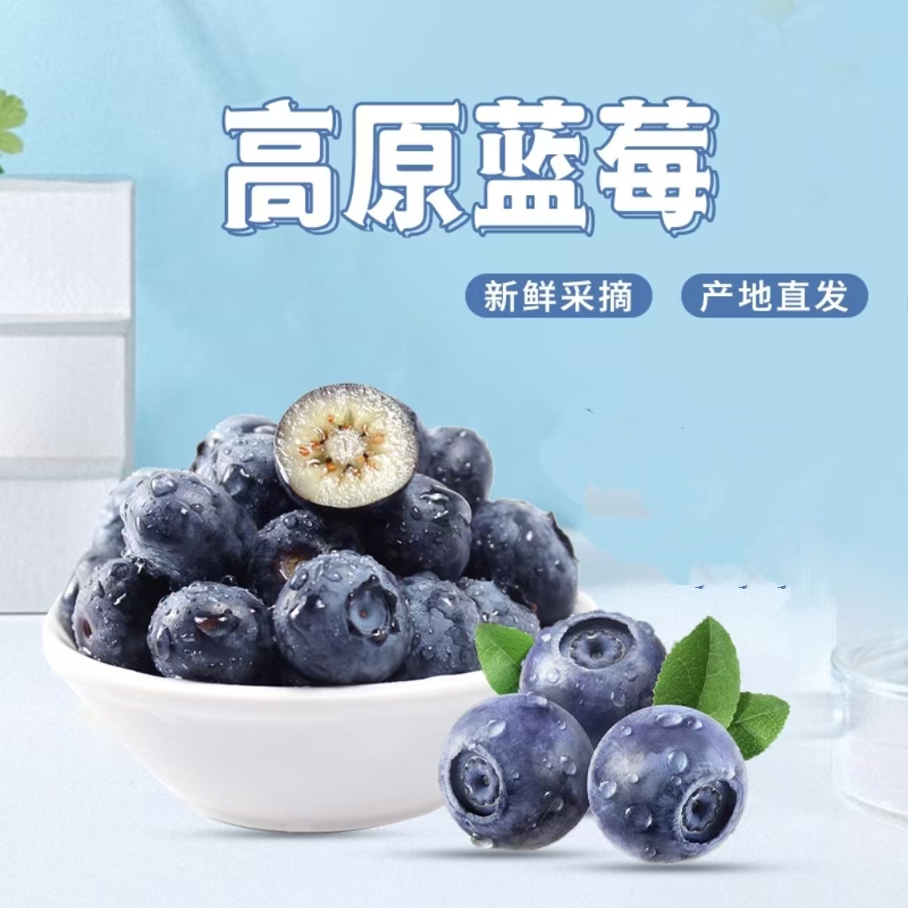 云南蓝莓 云南产地直发 新鲜花香蓝莓 头茬蓝莓 航空冷链