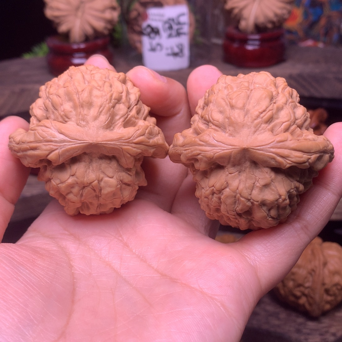 文玩核桃把件50龙鼎全品