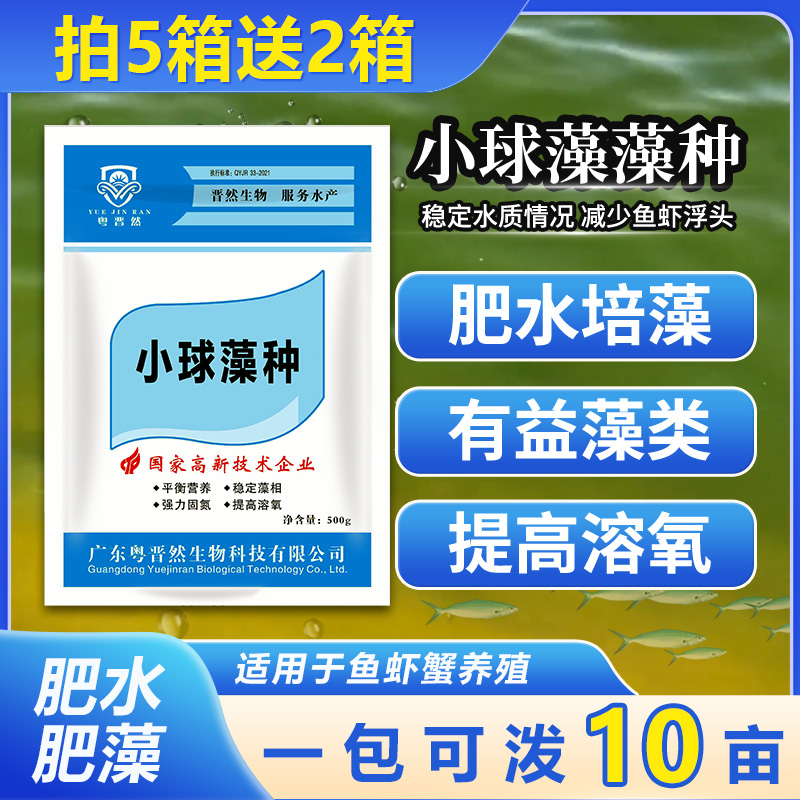 粤晋然小球藻藻种肥水培藻适用水产养殖鱼虾蟹塘使用补充有益藻类