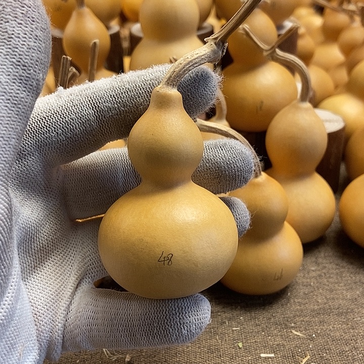 文玩葫芦 完美主义者 慎拍48