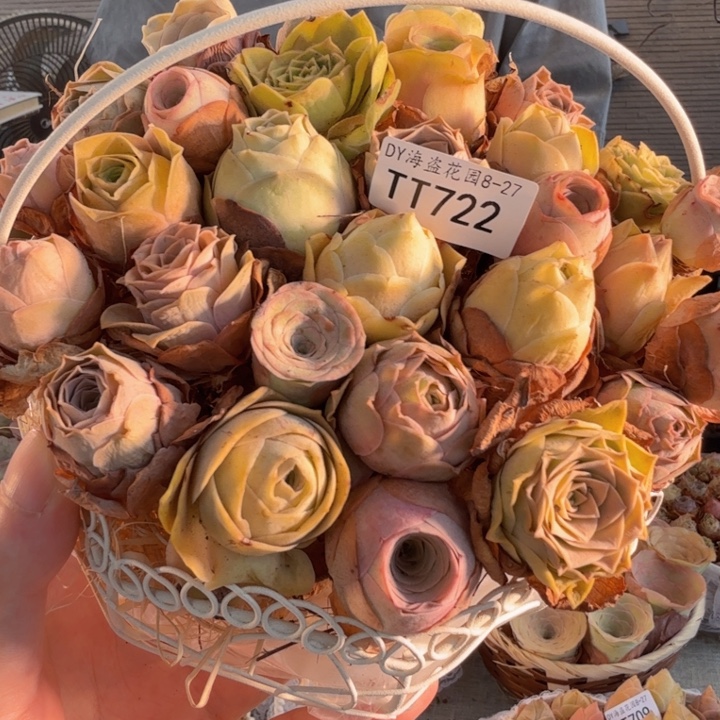 TT722 铁艺花篮玫瑰组合