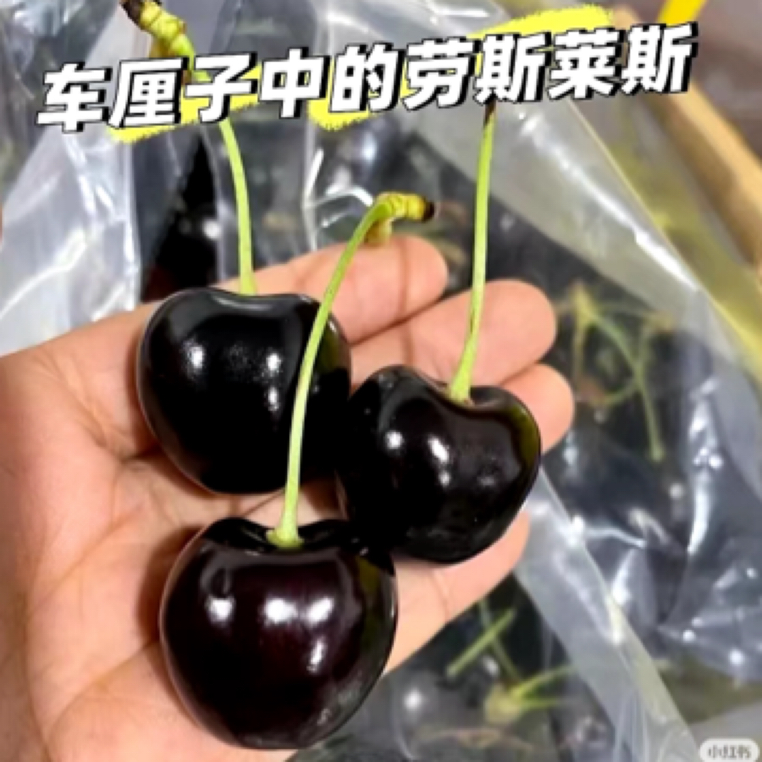 空运货带花科迪亚2JJD车厘子一箱5斤装（原箱）