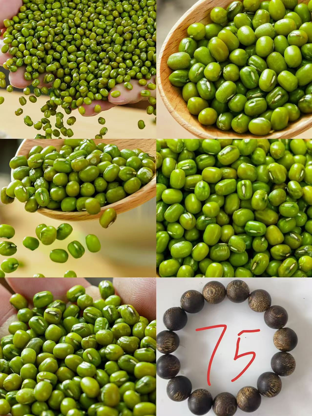 《75》来总专属土特产绿豆1.4cm-世0134