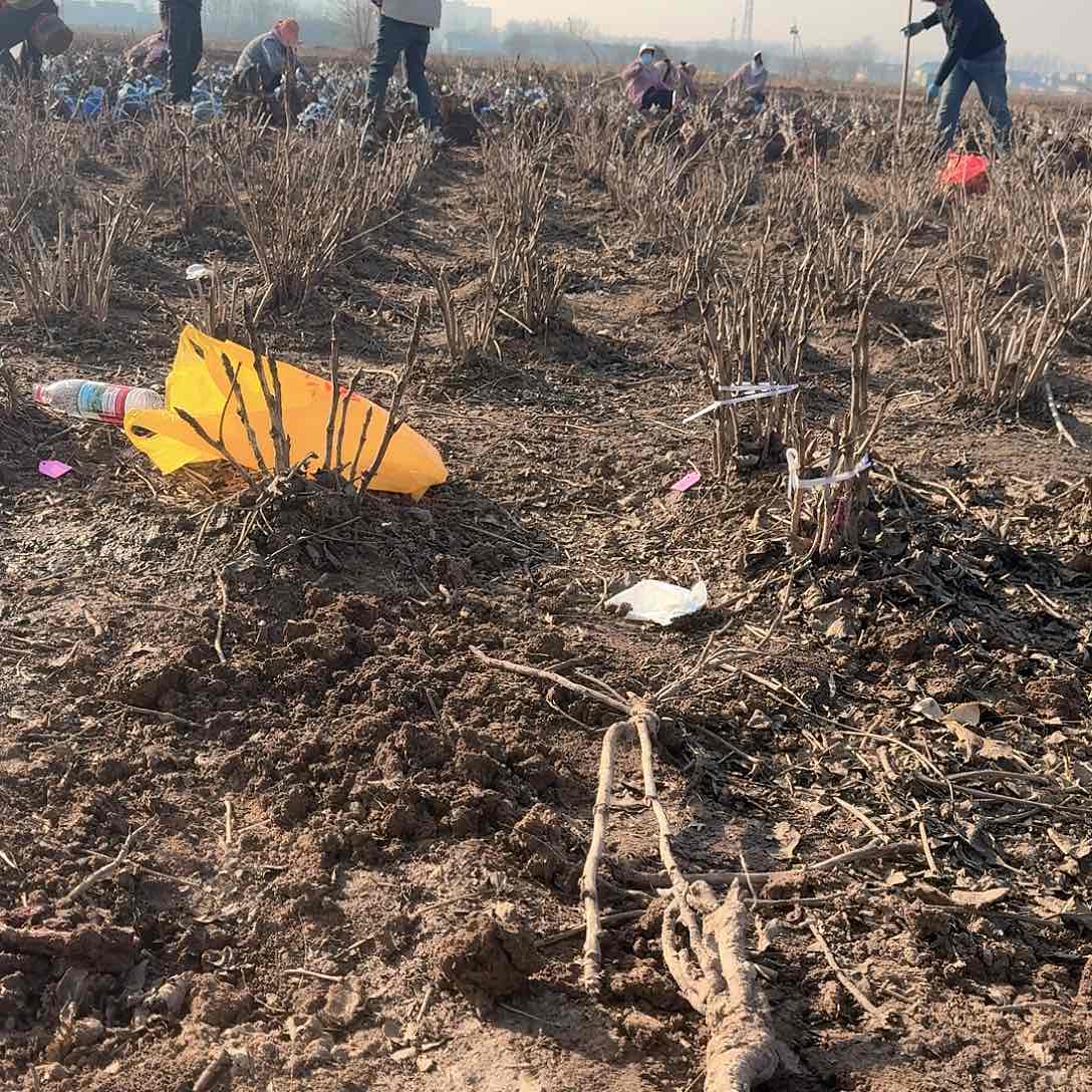 完全开放首安红1111111