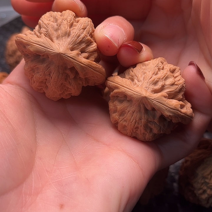 文玩核桃把件42金公子