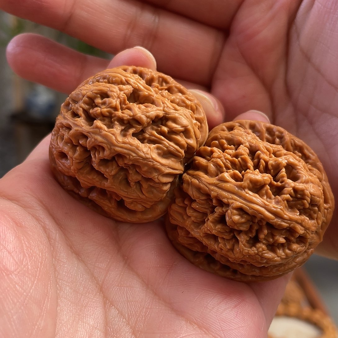 桃核把件42×41尺原桩平谷大粗筋CN01452已打底