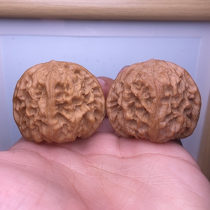 核桃全品小尺野牛