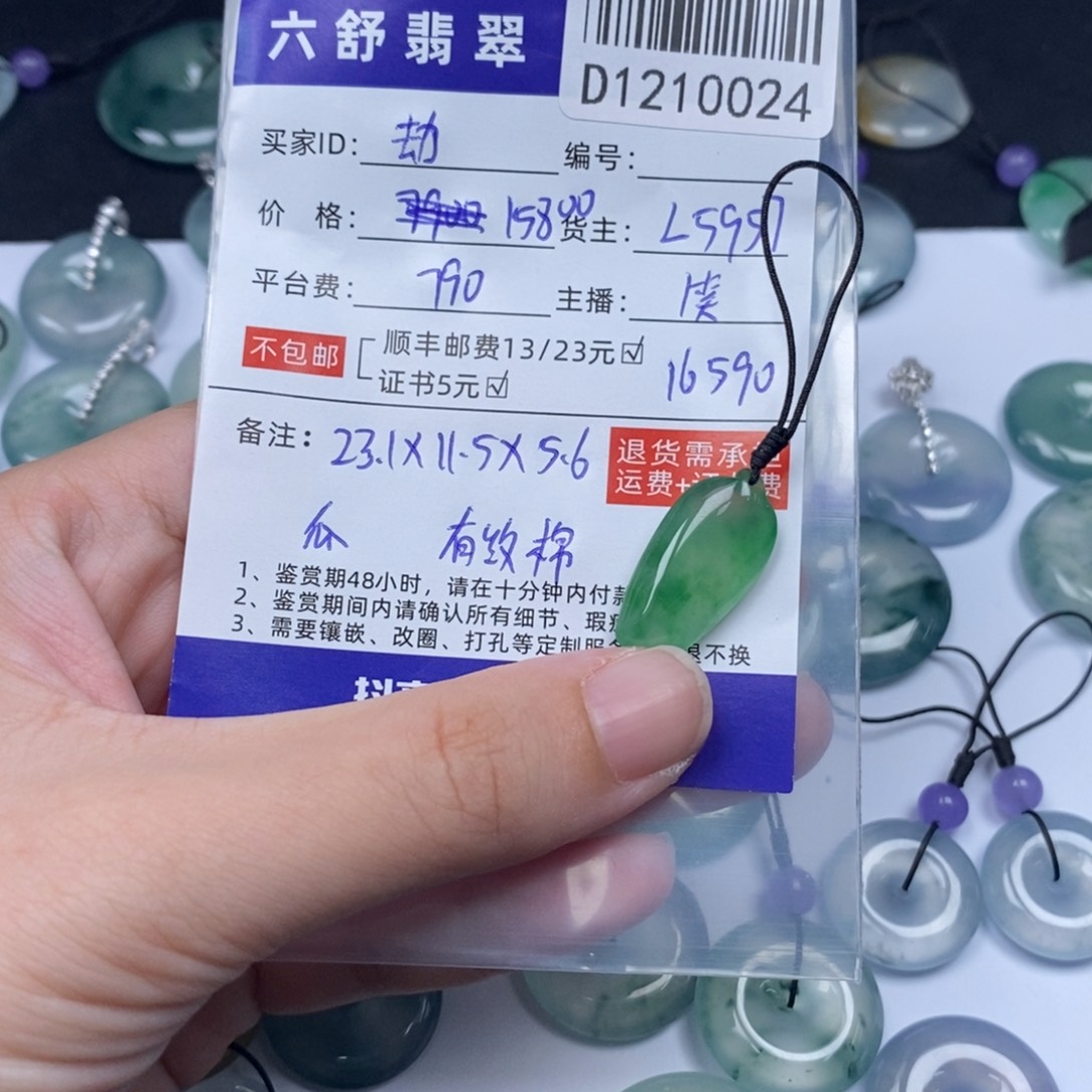劫***笙翡翠未镶嵌吊坠(不含链)D1210024