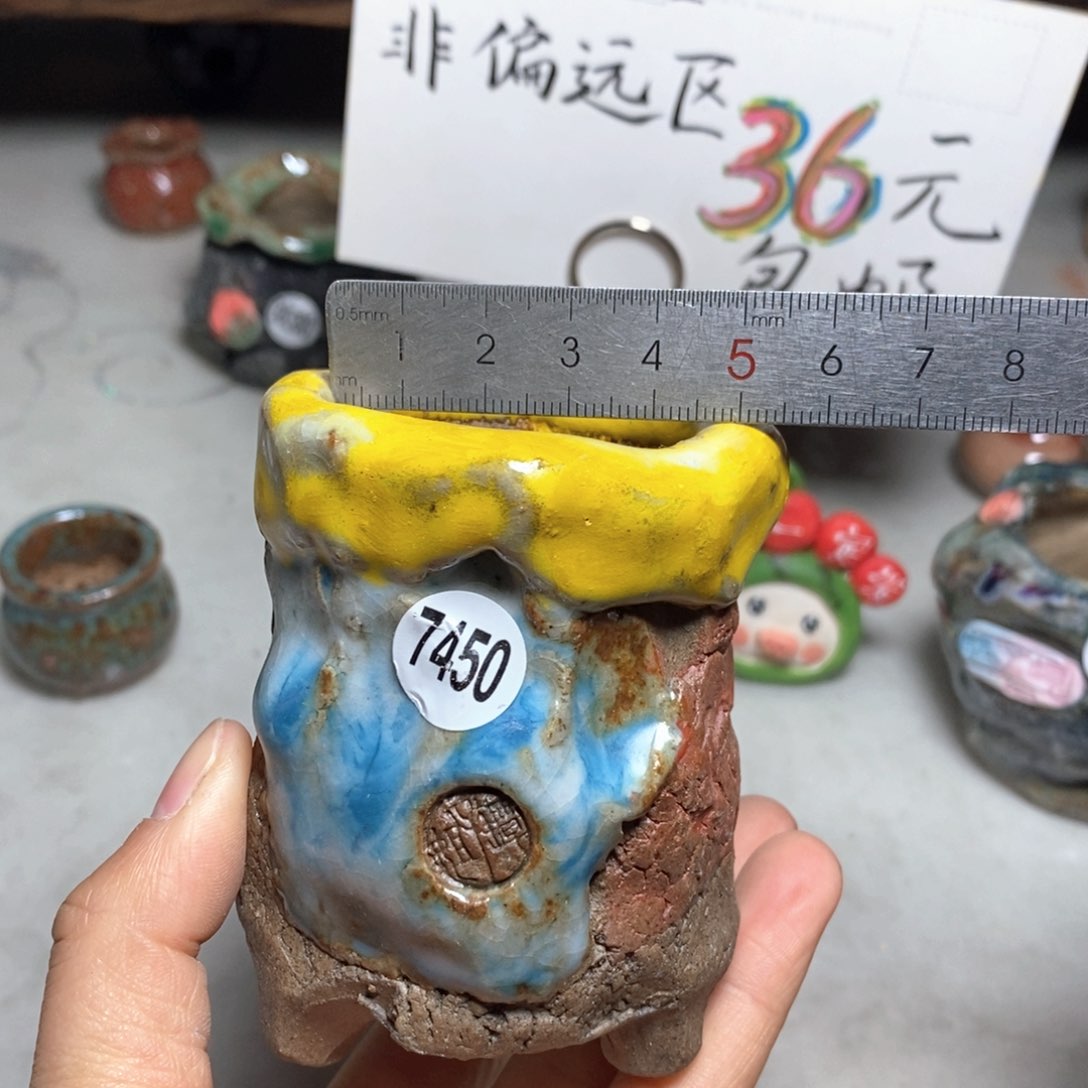 花盆双12特价活动不退不换原价32