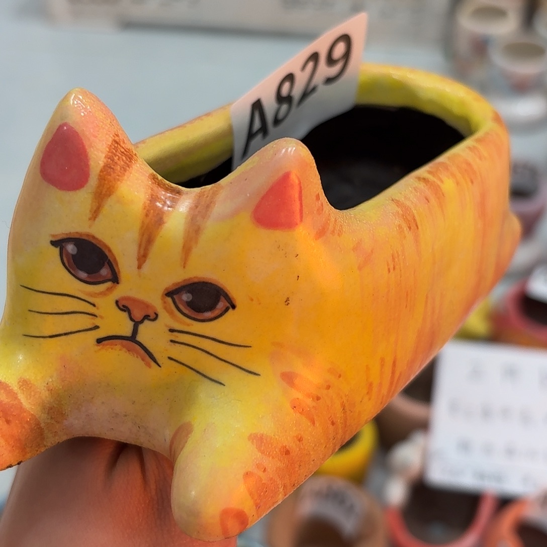 陶瓷手工瑕疵多肉花盆