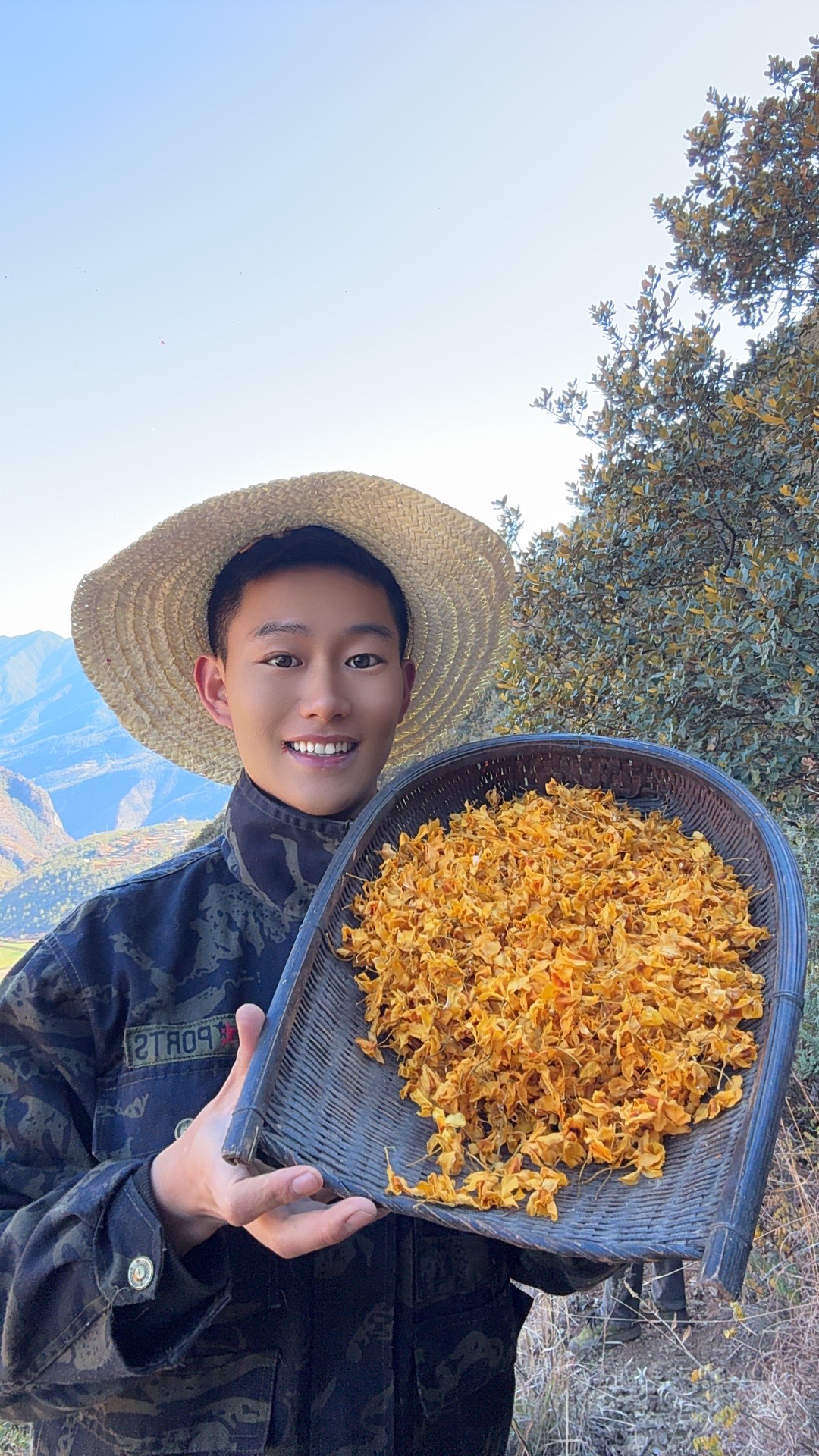 阿班长推荐云南高山石斛花/枸杞