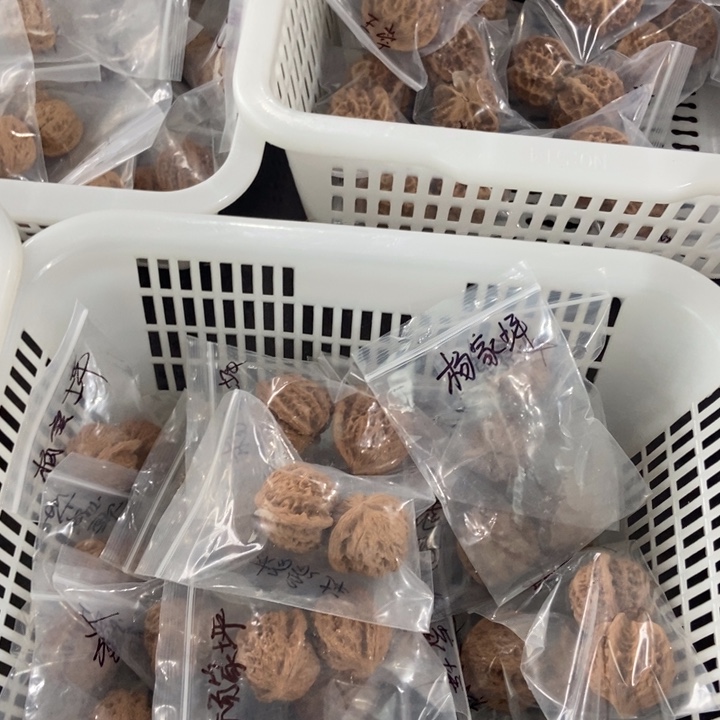 吊坠文玩核桃杨家坪