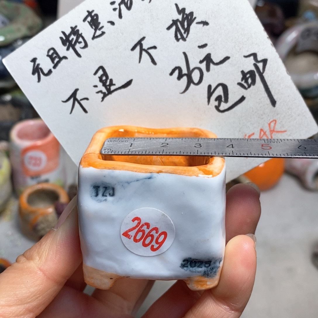 元旦特惠花盆不退不换的，原价28元一个