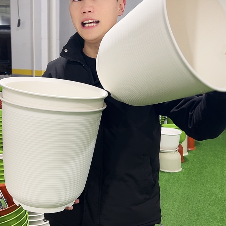 正品高陶口30高21白色3只无托