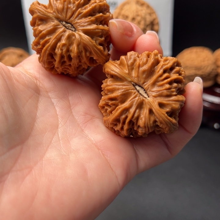 E*o边肚同尺大麻团37号